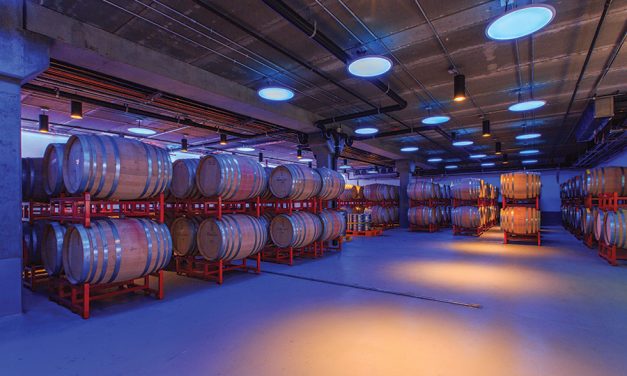 Sector Spotlight: Agriculture